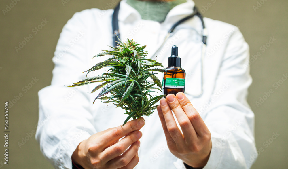 PLANTS = MEDICINE